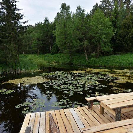 Agropensjonat Stregielek Stręgielek Exterior foto