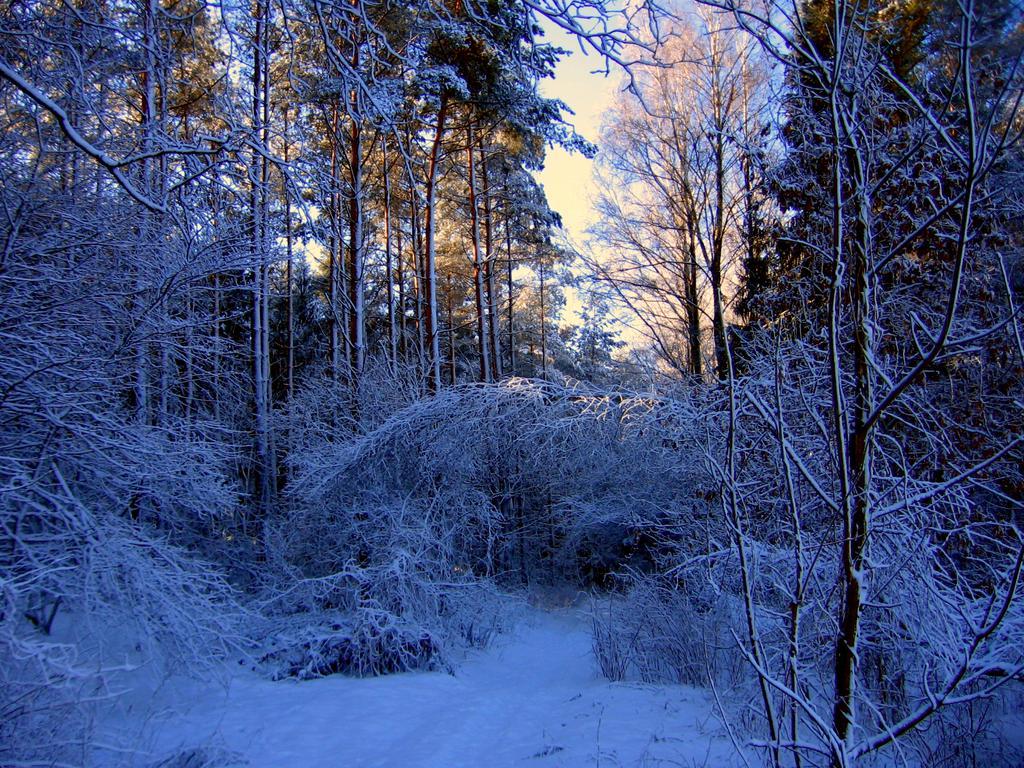 Agropensjonat Stregielek Stręgielek Exterior foto